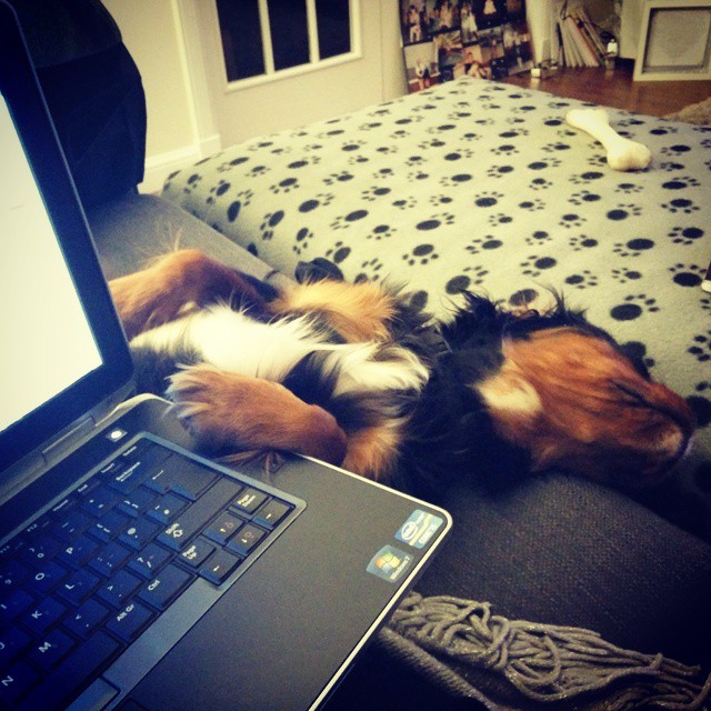 Had enough of the internet...